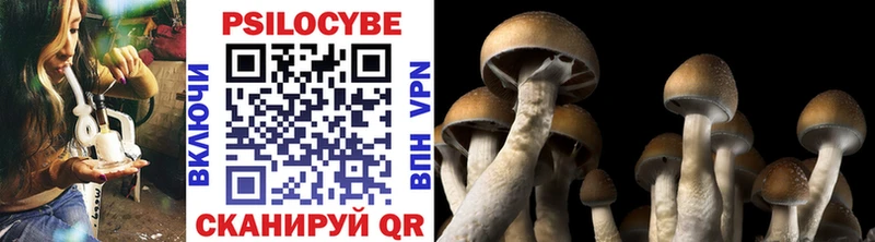 Псилоцибиновые грибы мухоморы  MEGA как войти  Минеральные Воды 